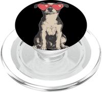 Simpatico vestito per cani con divertenti occhiali da sole a forma PopSockets PopGrip per MagSafe