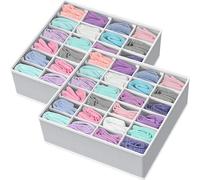 Simple Houseware Confezione da 2 Organizer per Calzini da Armadio, divisori per cassetti a 24 Celle, Grigio