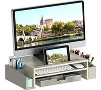 Simple Houseware Supporto per Monitor da scrivania con Vassoio Organizer Regolabile, Acero