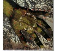 Simple Minds - SIMPLE MINDS - THIS IS YOUR LAND - 7 INCH VINYL / 45