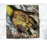 SIMPLE MINDS This is Your Land UK 7" 45