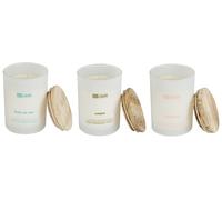 SIMPLICITY Set di 3 Candele Profumate Cera di Soia Note orientali Note fresche