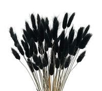 Simpls 60 StüCk Fiori di Autunno secchi, Spugne di coniglio, Fiori secchi, Lagurus, Ovato, Coda di coniglio, Erba per Fiori Secchi (Nero)