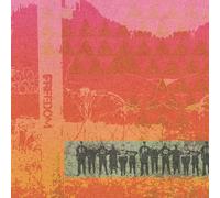 Simpson, Leanne Betasamosake - Live Like the Sky