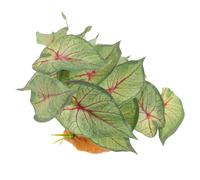 Simulation Plant Decor Light Green for Fish Tank and Reptile Box