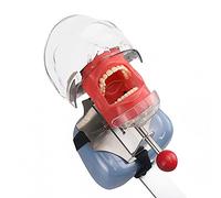 Simulatore dentale Nissin Manichino Phantom Head Dental Phantom Head Model Bench Mount per l'istruzione del dentista