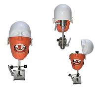 Simulatore Dentale Phantom Head Training Modello Di Testa Bionica Per Stomatologia A Grandezza Naturale Per Scuole Di Odontoiatria Istruzione Dimostrazione Pratica A