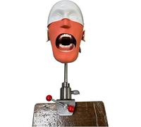 Simulatore dentale Phantom Head Training Modello di testa di simulazione dentale orale per scuole di odontoiatria Formazione Dimostrazione pratica con supporto di addestramento A