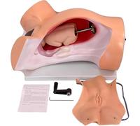 Simulatore di addestramento al parto con modello pelvico femminile a grandezza naturale, placenta e dimostrazione del processo di consegna per l'istruzione medica e l'insegnamento