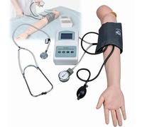 Simulatore di braccio for l'allenamento della pressione sanguigna, modello di pratica arteriosa regolabile, strumenti educativi e didattici, simulazione vocale