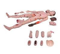 Simulatore di Cura, manichino Infermieristico Multifunzionale per Trauma di Primo Soccorso, Modello anatomico Umano per la Formazione Infermieristica in scienze mediche