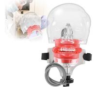 Simulatore di manichino dentale, modello di esercitazione orale con testa singola, regolabile a 360 gradi per scuole di odontoiatria A