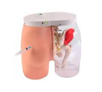 Simulatore di modello di addestramento dell'iniezione dell'anca - Modello di pratica dell'iniezione muscolare dei glutei semitrasparente con sistema di allarme di rilevamento