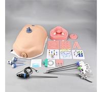 Simulatore laparoscopico per pratica ginecologica con pneumoperitoneo morbido, 10 moduli, 4 strumenti, fotocamera ad alta definizione 1080p