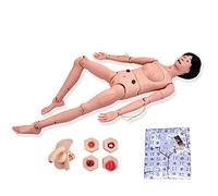 Simulatore per la Cura del paziente, manichino Infermieristico Femminile, Modello anatomico Umano Multifunzionale a grandezza Naturale del Corpo Intero del manichino Infermieristico femminil