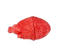 Simulazione Cuore Organo per Halloween, Cuore sanguinante puntello di decorazione, Sanguinosa Corpo Mozzato Prop, Decorazione horror imbrattata di sangue, per festa a tema, Casa Stregata