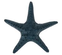 Simulazione Ocean Star Model Resin Photo Pop Pesch Tank Decoration Photo Prop