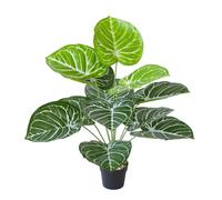 Simulazione Pianta Verde Bonsai Stile Nordico Pianta Verde Giardino Paesaggio