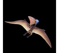 Simulazione Pteranodonte Modello Dinosauro Giocattolo con Dettagli Realistici per il Gioco Educativo dei Bambini, PVC 21 * 3 * 9 Cm