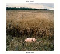 Sinai Vessel - Brokenlegged
