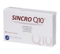 SINCRO Q10 30CPS