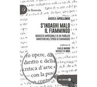 S'indaghi Malo il fiammingo. Inchiesta impossibile di un pubblico ministero nell'epoca di Caravaggio