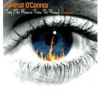 Sinead O'Connor - Troy Remixes