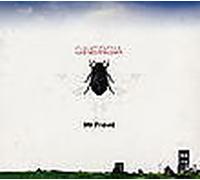 Sinergia - Mr. Freud - Cd