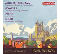 Ralph Vaughan Willi Vaughan Williams: Fantasia On a Theme By Thomas Tallis/ (CD)
