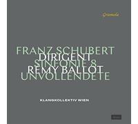 Sinfonie 8 Unvollendete - Franz Schubert (Vinile)