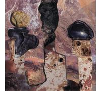 Singer, Liam - Finish Him