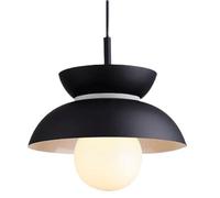 Single Head Ceiling Lighting Fixtures, Modern Industrial Style Metal Hanging Lamp, E27 Base F Living Room Balcony Coffee Shop Decoration Pendant Light