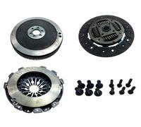 Singolo Volano VW Golf V/VI, Passat, Touran, Caddy, Jetta