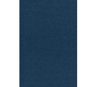 Elias M. Stein Singular Integrals and Differentiability Prope (Copertina rigida)