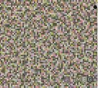 Sinner Dc - Meg / Cdg