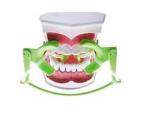 Sino Dental Ortodontico Divaricatore Nola Orale Dry Field System Divaricatore per guancia labiale Lingua (Green)