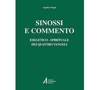 Sinossi e commento esegetico-spirituale dei quattro Vangeli