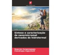 Síntese e caracterização de nano/micromat derivados de hidrotermal