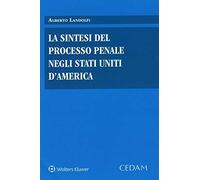 Sintesi del processo penale negli stati uniti d'america