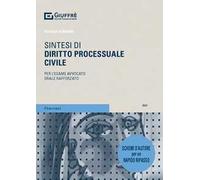 Sintesi di diritto processuale civile