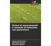Sintesi di nanocompositi a nanotubi di halloysite: una panoramica