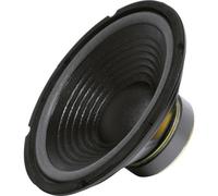 Sintron 203376 25 cm Subwoofer PA 200 W 8 Ω
