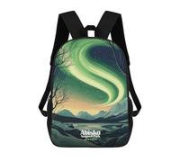 sinyumoney 1 Zaini Per Bambini Abisko National Park Aurora Borealis Borsa Scolastica Stampata in 3D Borsa Alla Moda Borse Scolastiche Da Viaggio Per La Scuola O I Viaggi 17inch