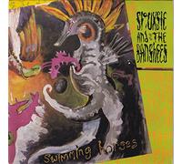 Siouxsie & The Banshees - Swimming Horses