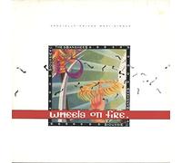 Siouxsie & the Banshees - Wheels On Fire