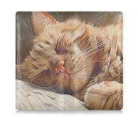 siphylline A Lazy Cat, portafoglio per libretto di registrazione e assicurazione auto, in pelle PU, perfetto per conducenti, proprietari di auto, rimorchi, moto, barche, Un gatto pigro, 1 size