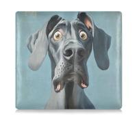 siphylline Cartone animato divertente Great Dane Dogs Fear Pu Leather Registrazione e Assicurazione Card Holder Glove Box Organizzare per ID, patente di guida, chiavi informazioni di contatto carte