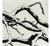 SIR ALICE - FOR THE BIRDS