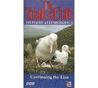 Sir David Attenborough's The Trials Of Life: Continuing The Line