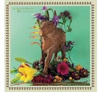 Sir Richard Bishop & Ed Yazijian Sir Richard Bishop & Ed Yazijian (Vinyl LP)